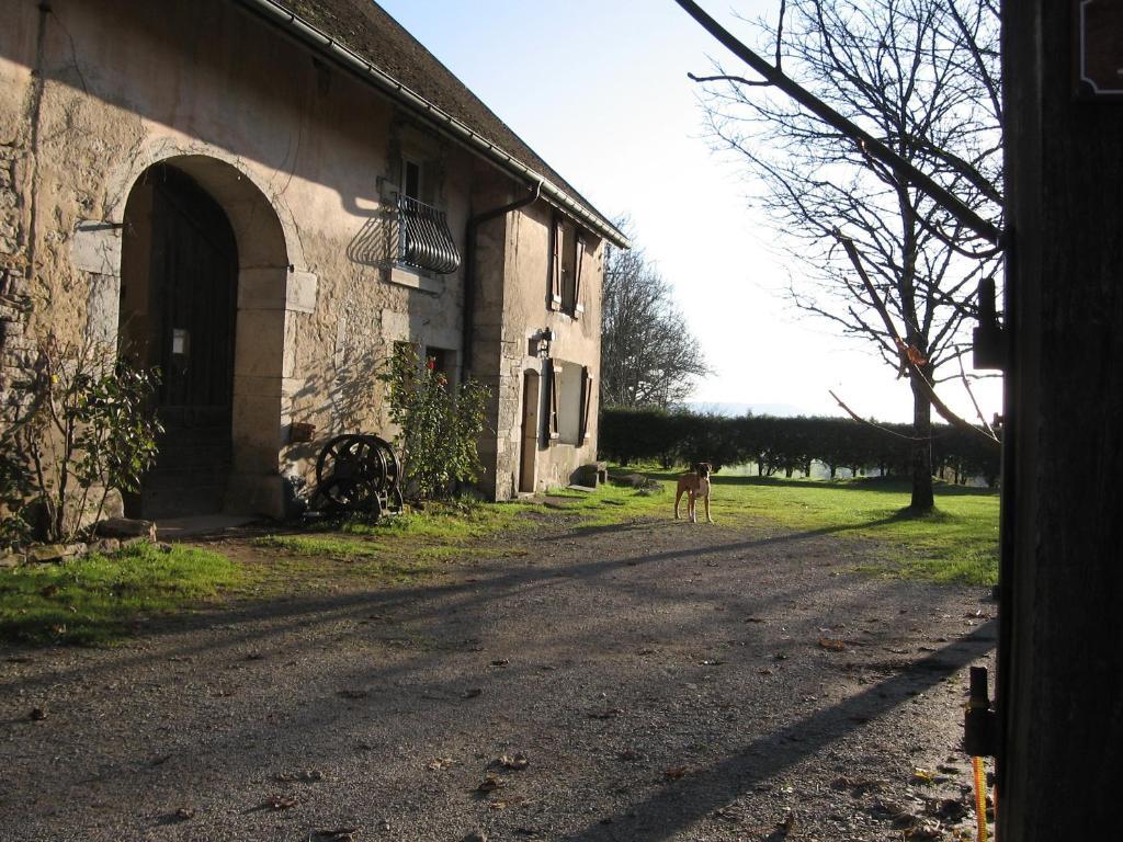 Chez Robert Et Catherine Dompierre-sur-Mont Kamer foto